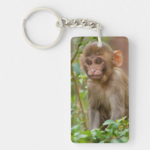 Rhesus Monkey Baby, Monkey Temple, Jaipur Keychain