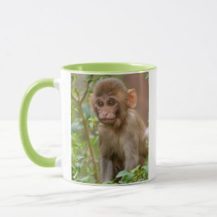 Rhesus Monkey Baby, Monkey Temple, Jaipur Mug
