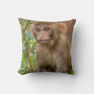 Rhesus Monkey Baby, Monkey Temple, Jaipur Throw Pillow