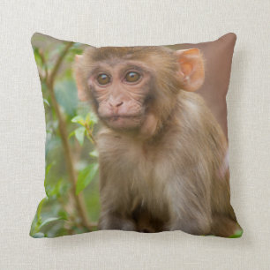 Rhesus Monkey Baby, Monkey Temple, Jaipur Throw Pillow