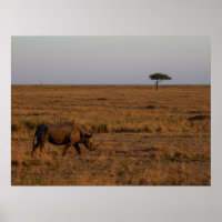 Rhino at Dusk – African Wildlife Wall Art Poster