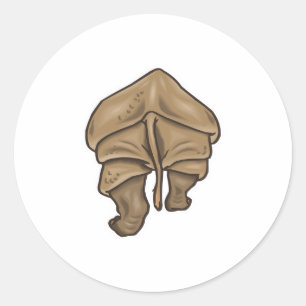 rhino butt classic round sticker