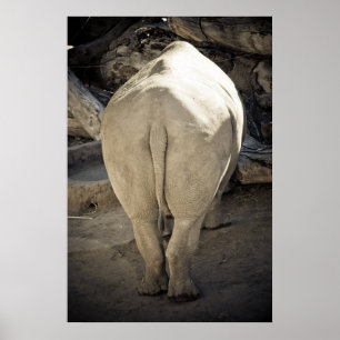 Rhino Butt Poster