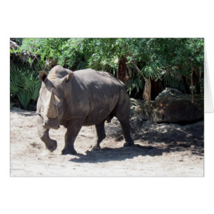 Rhino Card