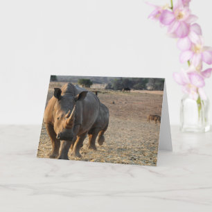 Rhino Card