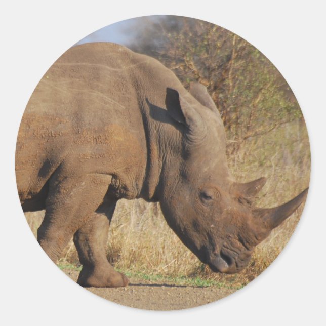 Rhino Classic Round Sticker (Front)