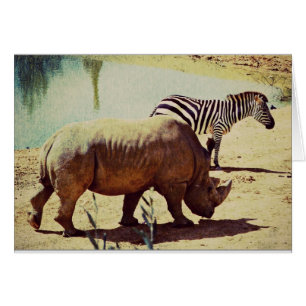 Rhino et Zebra