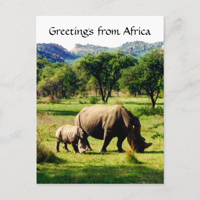 rhino greetings postcard (Front)