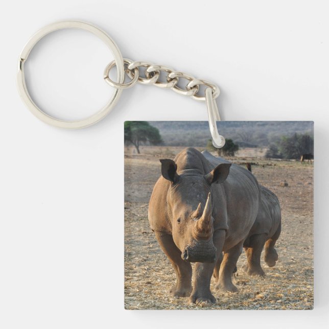 Rhino gris dans la nature (Devant)