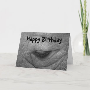 Rhino, Happy Birthday Card