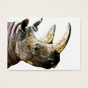Rhino Head, White Background