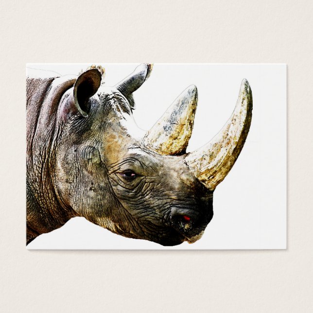 Rhino Head, White Background (Front)