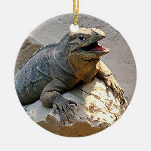 Rhino Iguana Ceramic Ornament
