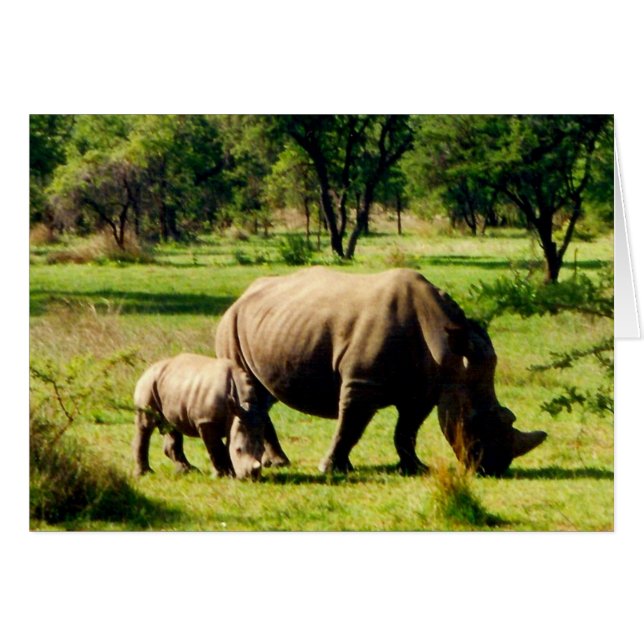 rhino love (Front Horizontal)