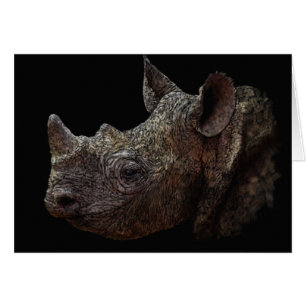 Rhino noir