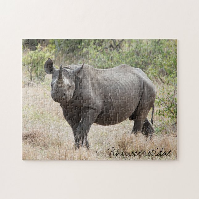 Rhino Puzzle (Horizontal)