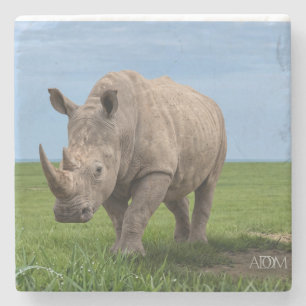 Rhino Standing On Green Hilltop Photo Enlargement Stone Coaster
