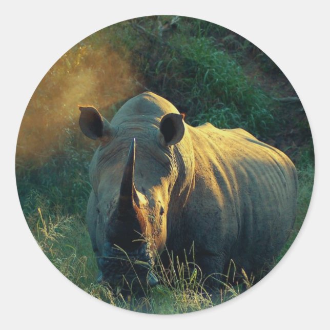 Rhino stare classic round sticker (Front)