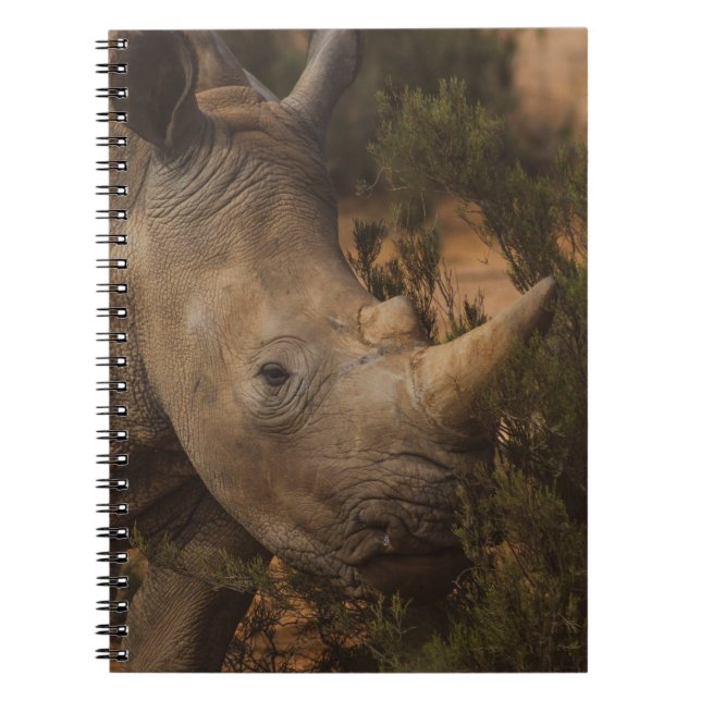 RHINO WILD ANIMALS NOTEBOOK (Front)