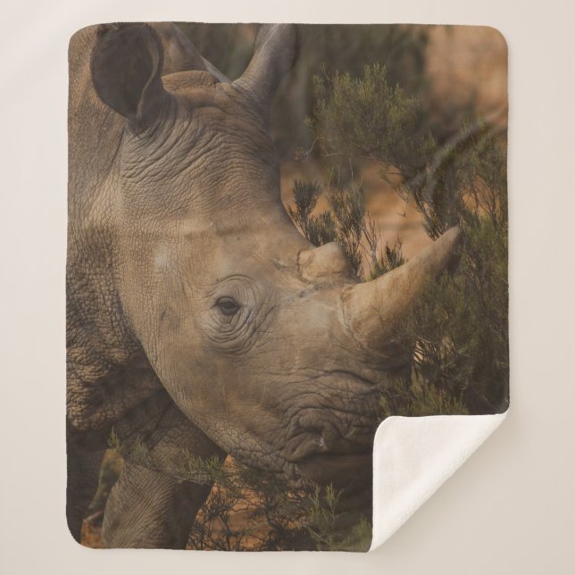RHINO WILD ANIMALS SHERPA BLANKET (Front)