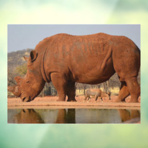 Rhino with mud on skin photo window cling