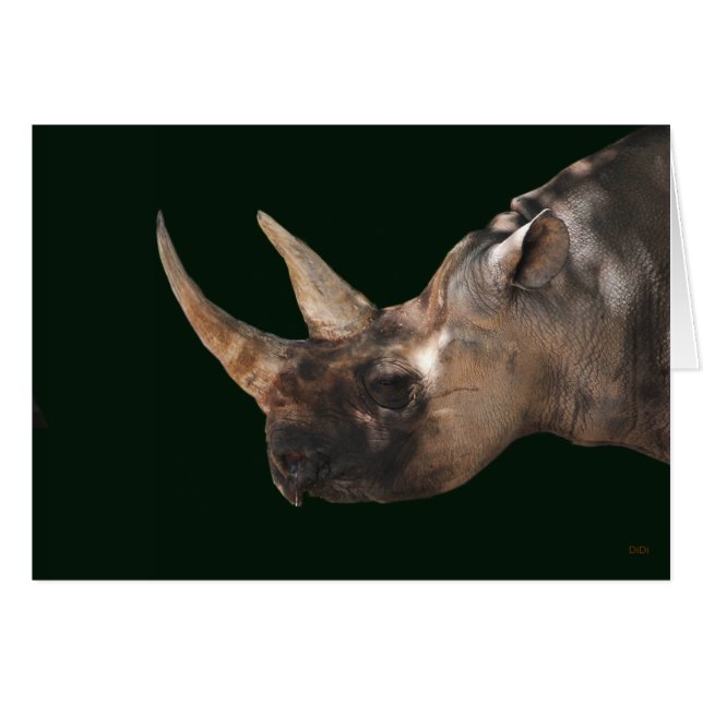 Rhinoceros (Devant horizontal)