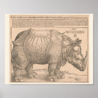 Rhinoceros -  Albrecht Dürer 1515 Woodcut Gravure