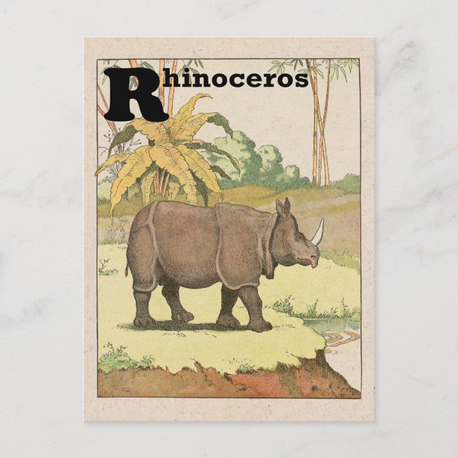 Rhinoceros Alphabet Animal Postcard (Front)