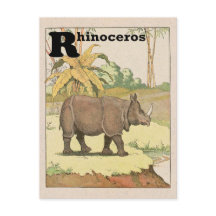 Rhinoceros Alphabet Animal
