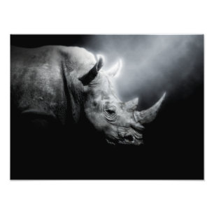 Rhinoceros Animal Forest Wild Jungle Nature Rhin Photo Print