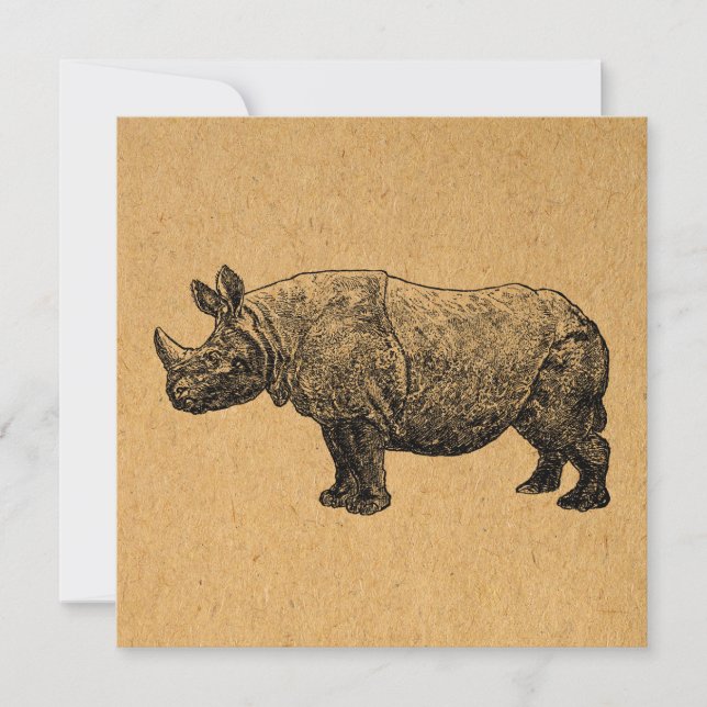 Rhinoceros Art Vintage Rhino Illustration Card (Front)