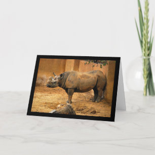 Rhinoceros Back Against the Wall Card