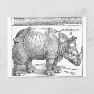 Rhinoceros by Albrecht Durer Postcard