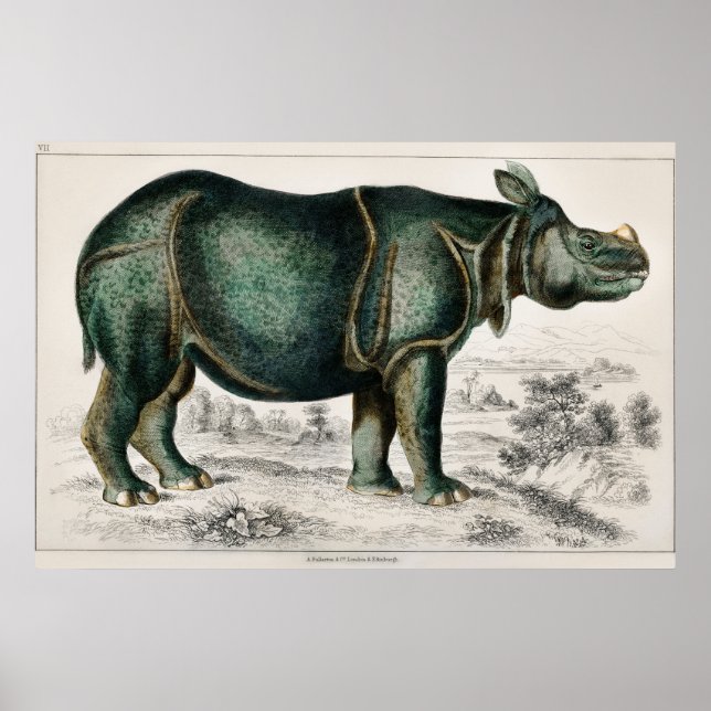 Rhinoceros by Oliver Goldsmith Poster (Front)