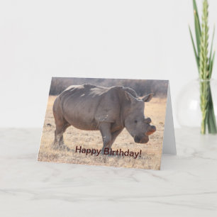 Rhinoceros Card