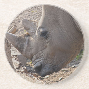 Rhinoceros Coaster
