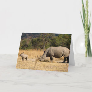 Rhinoceros Family Greeting Card