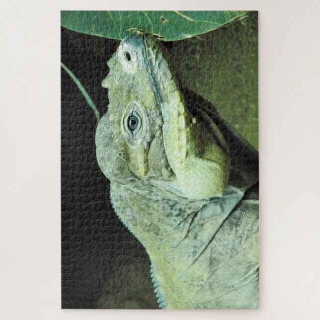 Rhinoceros Iguana Jigsaw Puzzle (Vertical)