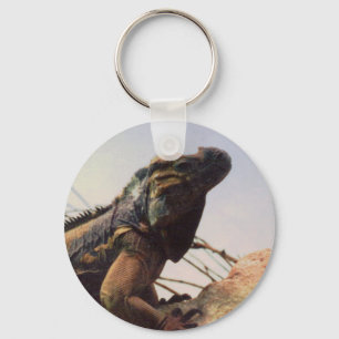 Rhinoceros Iguana Keychain