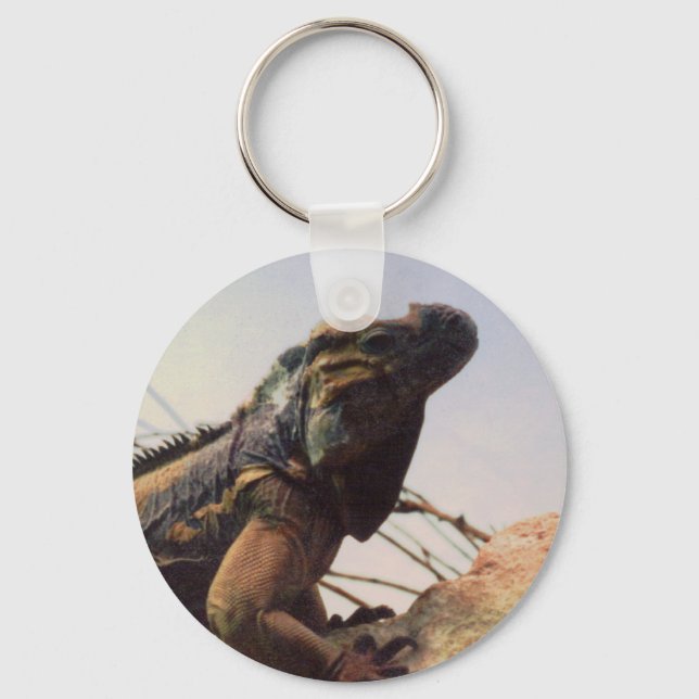 Rhinoceros Iguana Keychain (Front)