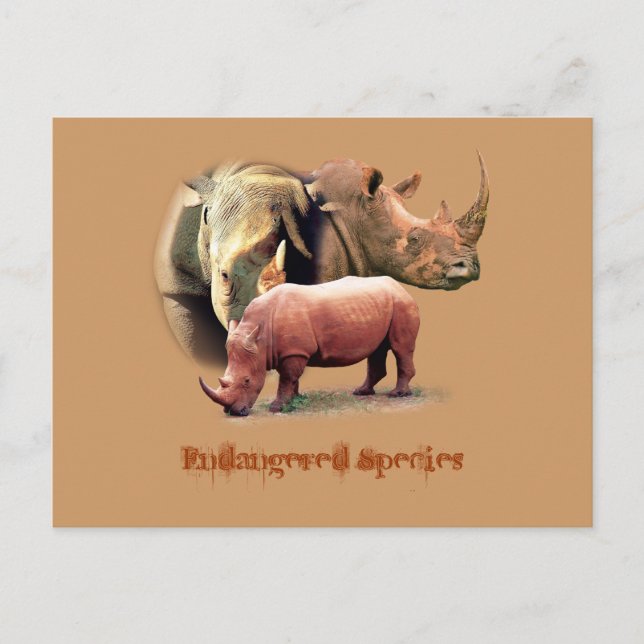 Rhinoceros Les Espèces Menacées Cartes (Devant)