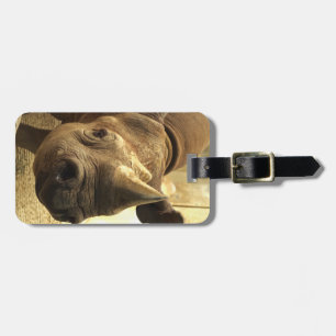 Rhinoceros Luggage Tag