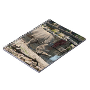 Rhinoceros Notebook
