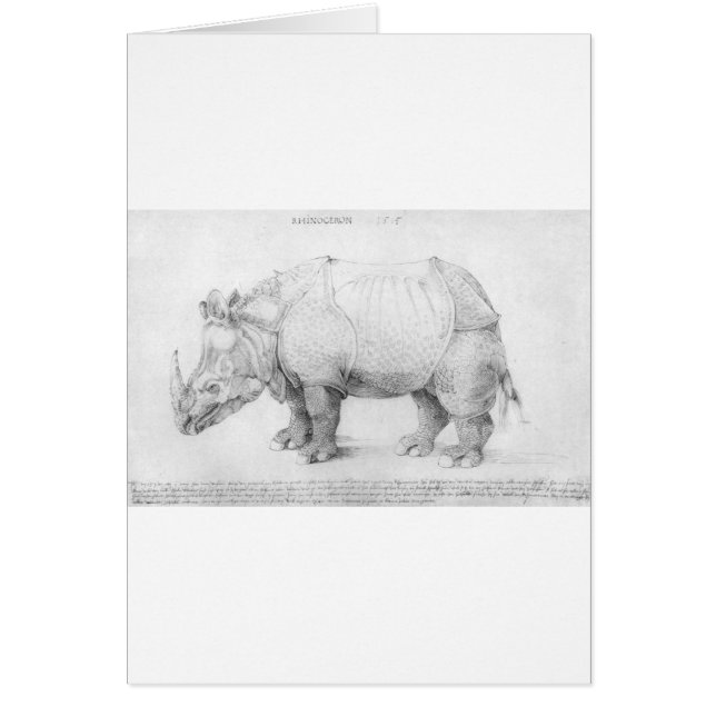 Rhinocéros par Albrecht Durer (Devant)