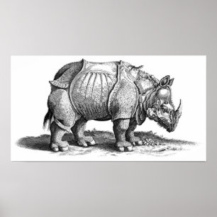 Rhinoceros Poster