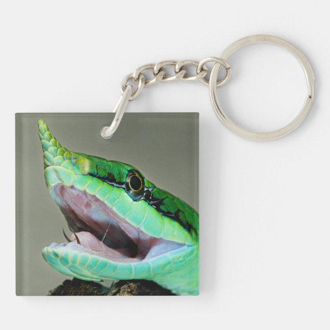 Rhinoceros Snake Keychain (Back)