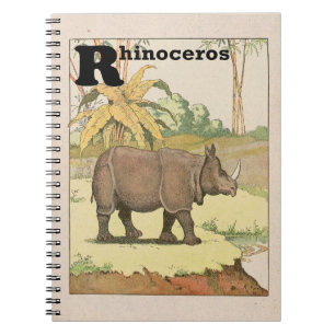 Rhinoceros Story Book Illustrated