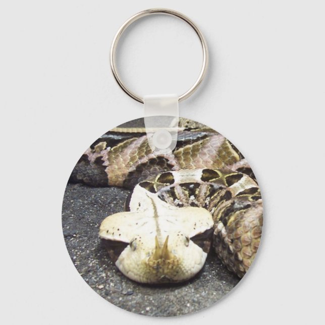 rhinoceros viper keychain (Front)