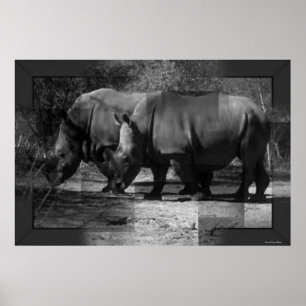 Rhinoceroses Print