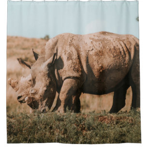 RHINO'S IN AFRICA GRAZING
